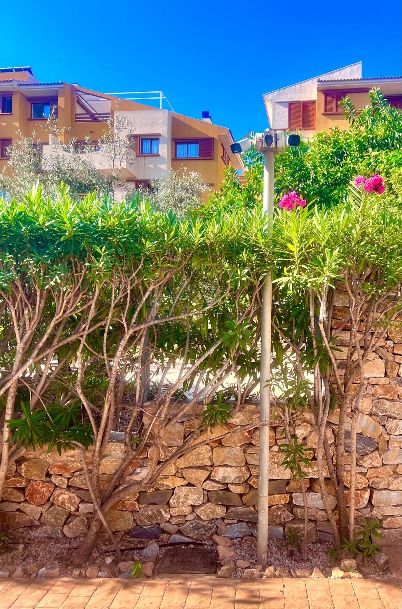 Appartamento Torrevieja 200M From Sea Punta Prima Alicante Esterno foto
